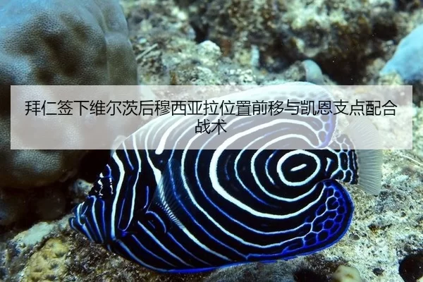 bai-ren-qian-xia-wei-er-ci-hou-mu-xi-ya-la-wei-zhi-qian-yi-yu-kai-en-zhi-dian-pei-he-zhan-shu-2-309.jpg